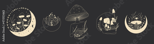 illustration in retro vintage engraving style. human skull and wild forest poisonous mushrooms. ideal for printing on clothing or fabric