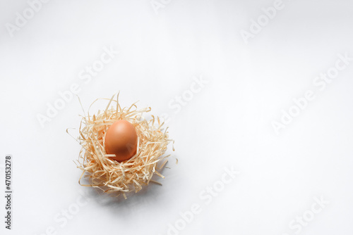 one egg in a straw nest white background