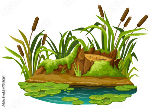 Stump in moss in marsh. Cartoon log in swamp jungle. Broken tree oak, salvinia, water lily. Isolated vector element on white background.