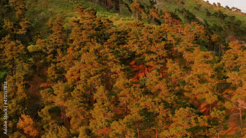 The rocky coast of the Black Sea in the sunset. Forest on the mountain. Aerial view. The rocky coast of the Black Sea in the sunset. Forest on the mountain. Aerial view.