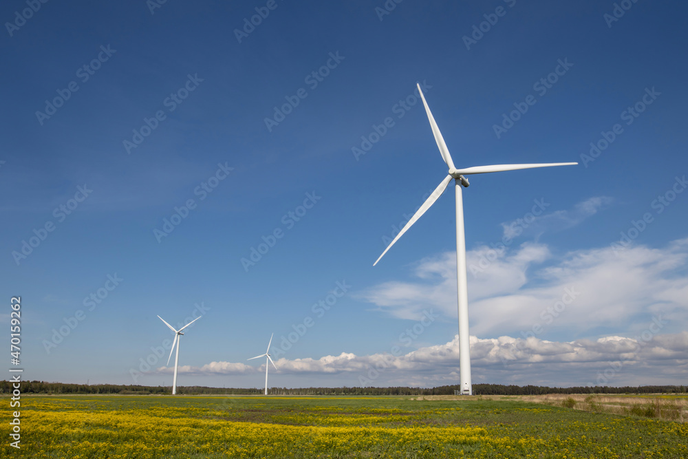Green meadow and Wind turbines generating electricity Green meadow and Wind turbines generating electricity