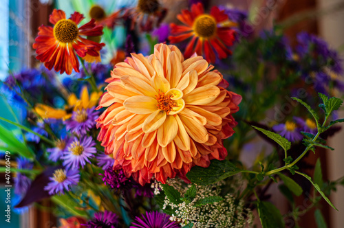 yellow flowers