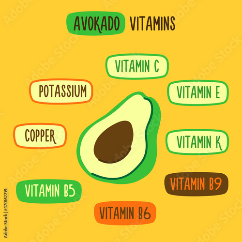 Health benefits of avocado. Avocado vitamins with infographic. Green avocado food. Organic raw vegan healthy food. Vitamin C, E, K, B9, B5, B6, Copper, Potassium. Vector illustration
