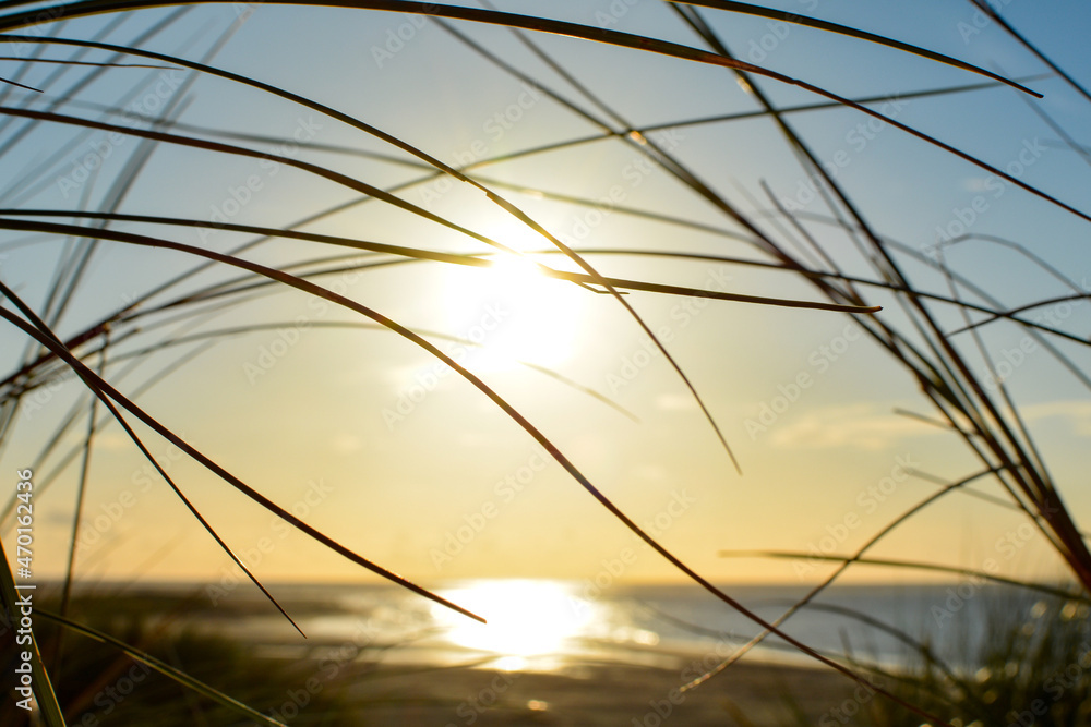 Obraz premium View through beach grass to the sea at sunset
