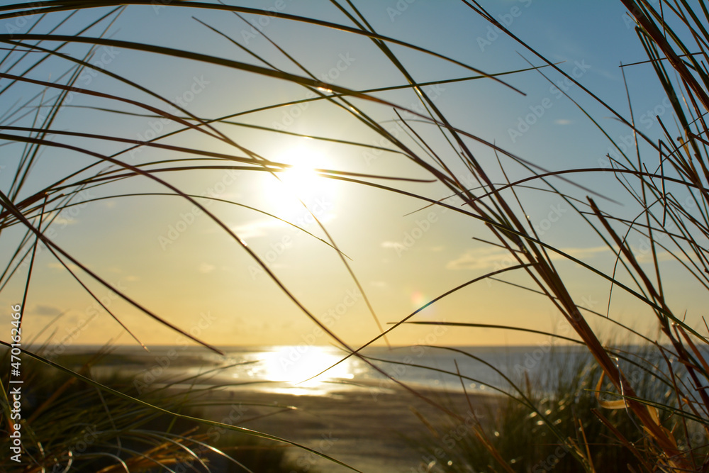 Obraz premium Beach grass and the sea at sunset