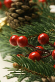 Christmas tree branches with red berries, close up	
