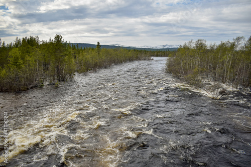 The forest river floods the forest with a stormy stream in early spring.