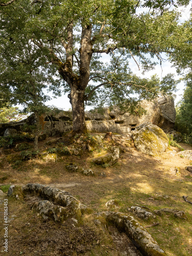 Tumbas antropomorfas alta sierra de la demanda photo