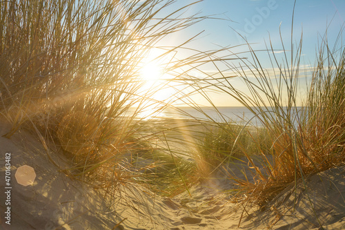 Sand dunes with beach grass on a sunny day