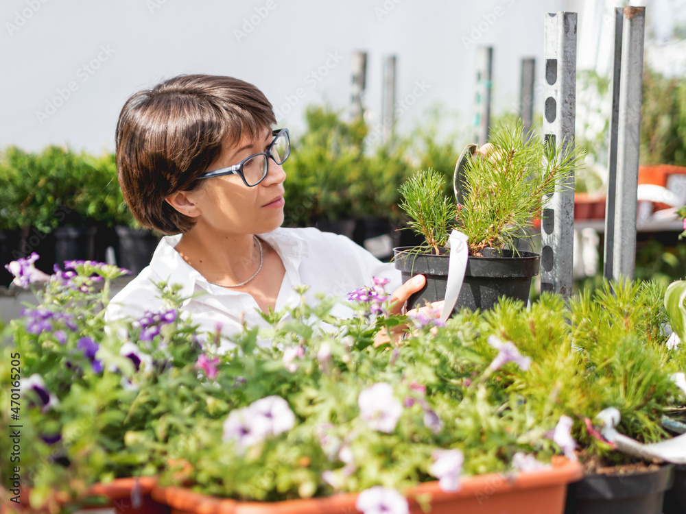 Woman chooses plants for landscaping. Outdoor shelves with seedlings, flowering plants and seeds in flower shop. Open air agronomic market. Woman chooses plants for landscaping. Outdoor shelves with seedlings, flowering plants and seeds in flower shop. Open air agronomic market.