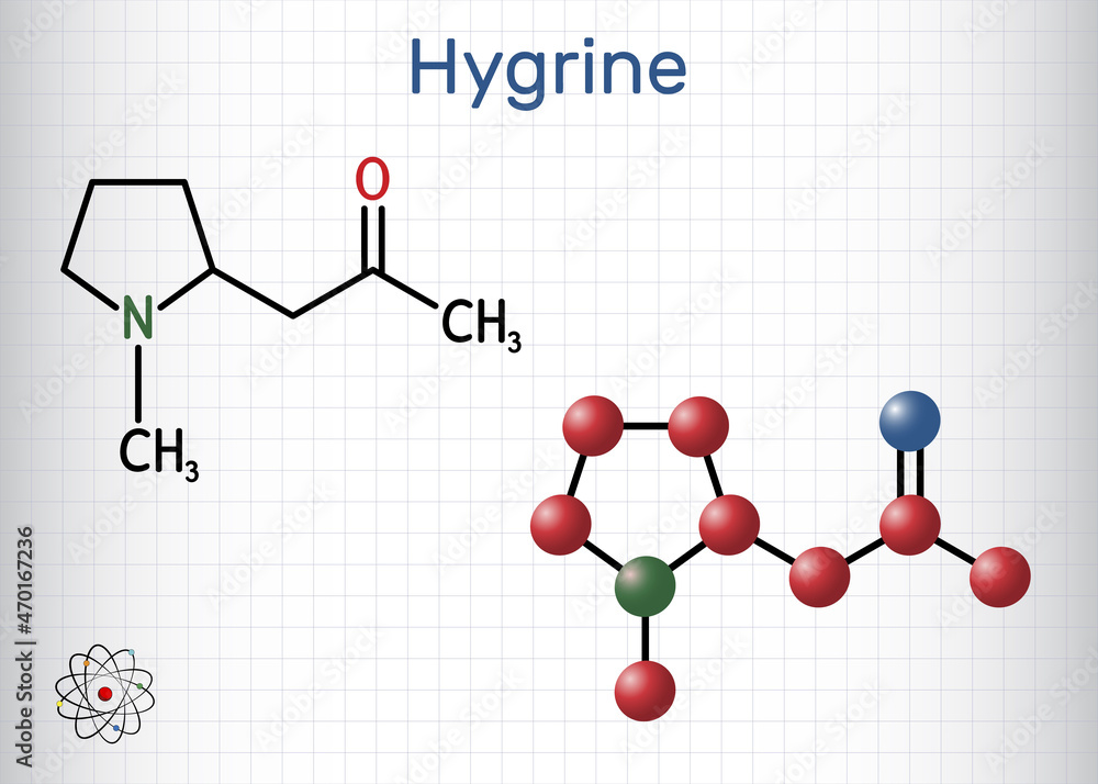 Hygrine pyrrolidine alkaloid molecule. It is found in the coca plant. Structural chemical formula and molecule model. Sheet of paper in a cage Hygrine pyrrolidine alkaloid molecule. It is found in the coca plant. Structural chemical formula and molecule model. Sheet of paper in a cage