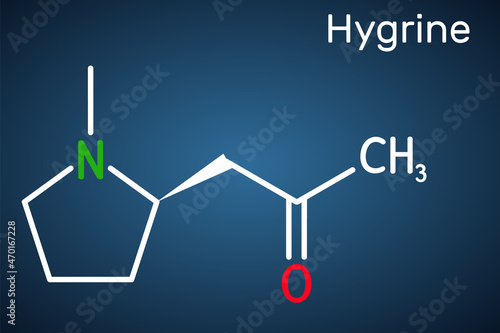 Hygrine pyrrolidine alkaloid molecule. It is found in the coca plant. Structural chemical formula on the dark blue background.