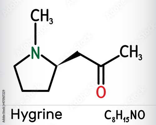 Hygrine pyrrolidine alkaloid molecule. It is found in the coca plant. Skeletal chemical formula