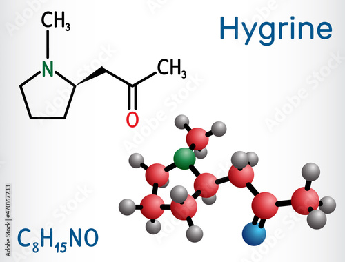 Hygrine pyrrolidine alkaloid molecule. It is found in the coca plant. Structural chemical formula and molecule model
