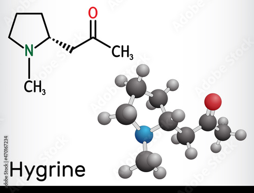 Hygrine pyrrolidine alkaloid molecule. It is found in the coca plant. Structural chemical formula and molecule model.