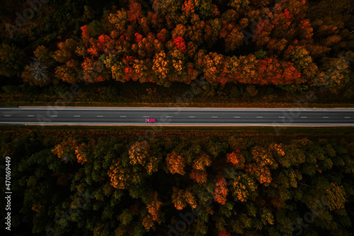 Obraz na plátně Aerial view of thick forest in autumn with road cutting through