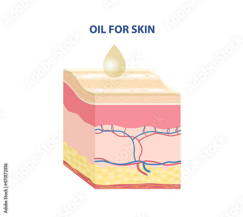 Skin Type Sticker. Oil to protect and nourish epidermis. Anatomical structure of skin. Design element for scientific websites. Cartoon isometric vector illustration isolated on white background