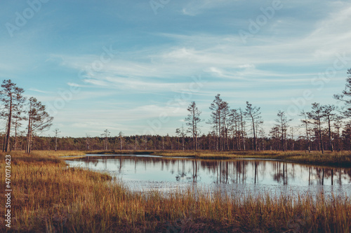 view of the lake at the bog in the spring