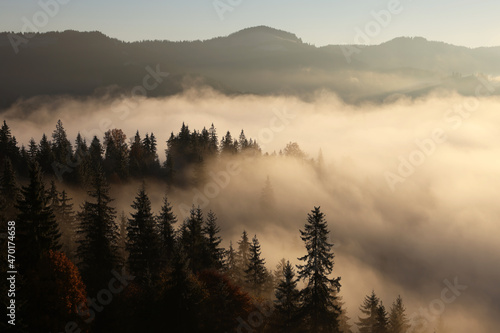 Picturesque view of mountain landscape with forest and thick fog
