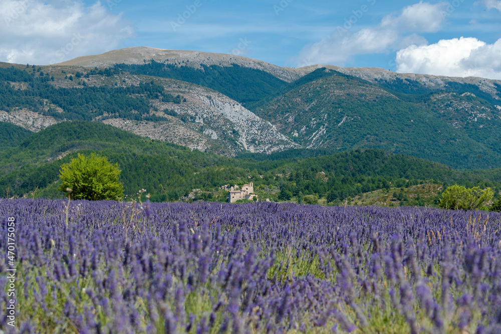 Fototapeta premium Côte d’Azur in Frankreich, eine Traumreise für den Sommer. Lavendel Felder, Nizza, Antibes, Cannes, Monaco und die Schlucht von Verdon