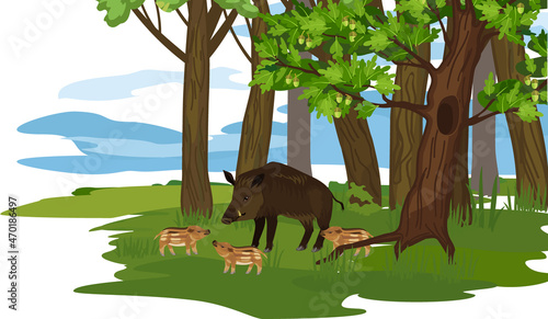 Summer forest landscape with oak trees and European wild boar (Sus scrofa) with piglets