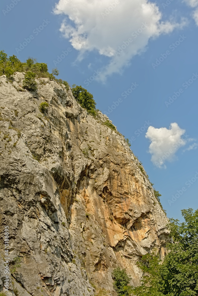 Detail of a Transylvanian mountain ridge with trees
