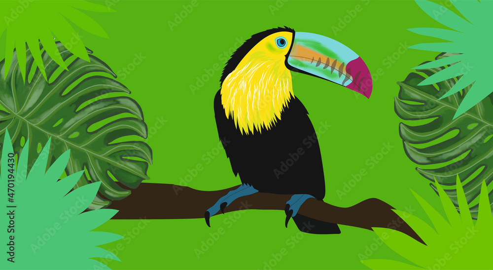 Fototapeta premium toucan in the forest