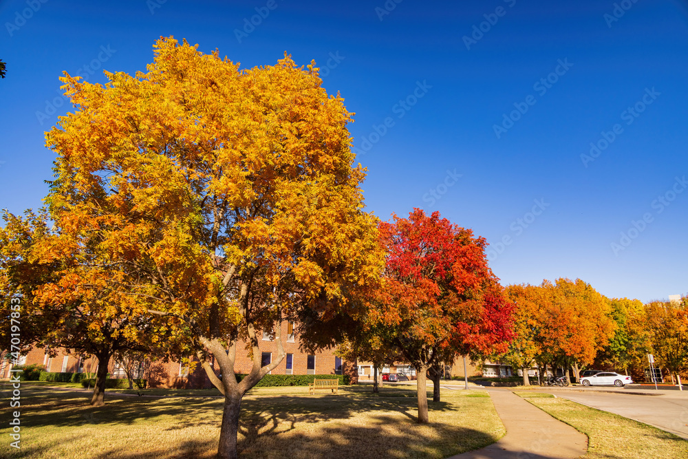 Beautiful fall color view of the campus of Univeristy of Oklahoma