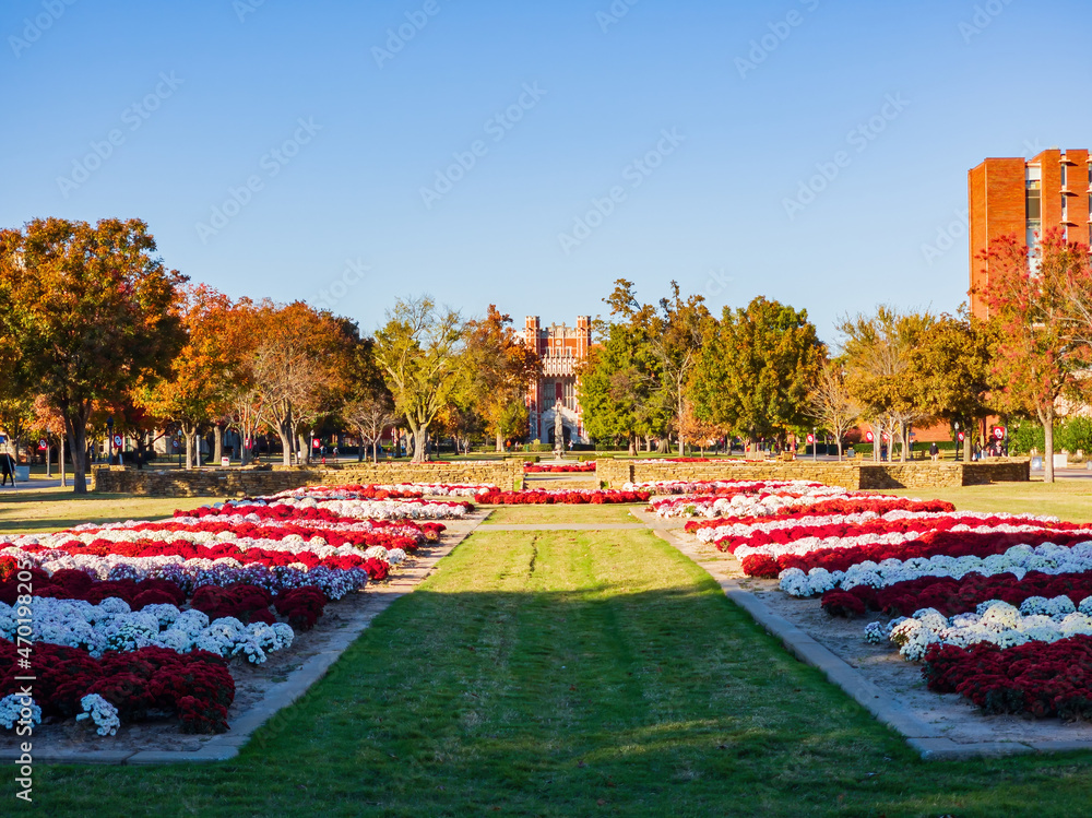 Exterior view of the Bizzell Memorial Library