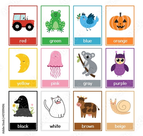 Color flashcards set with cute animals. Color names and pictures collection for preschool. Preschool learning flash cards templates for kids. Vector illustration