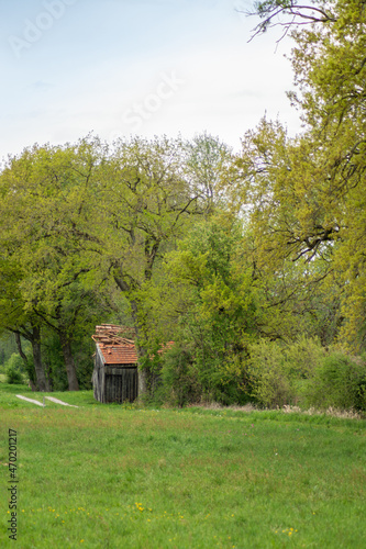 wooden house in the forest