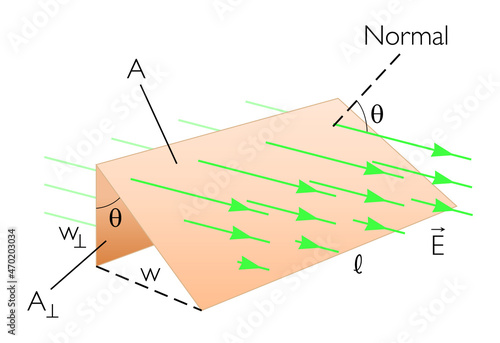 Electric Fields - Physics Education Vector Illustration