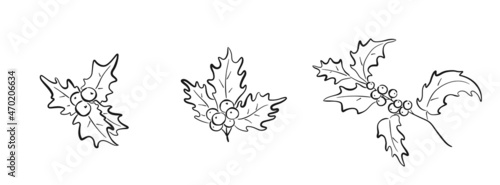 christmas holly branch set. hand drawn flourish element for christmas and new year greeting cards and invitation design