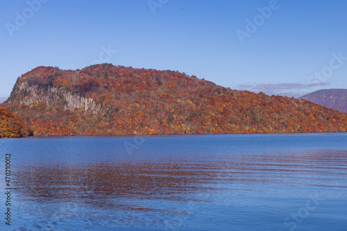 autumn leaves in water