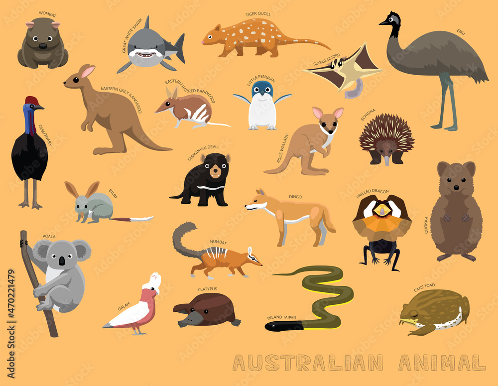 Cute Australian Animals Cartoon Vector Illustration Set Identify Stock  Vector | Adobe Stock