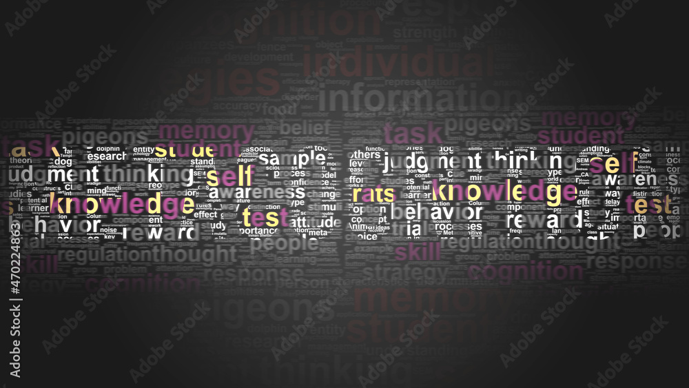 Naklejka premium Metacognition - essential terms related to Metacognition arranged by importance in a 2-color word cloud poster. Reveal primary and peripheral concepts related to Metacognition, 3d illustration