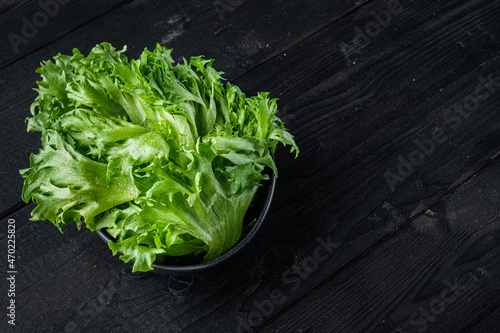 Fresh organic green batavia lettuce, on black wooden table background with copy space for text