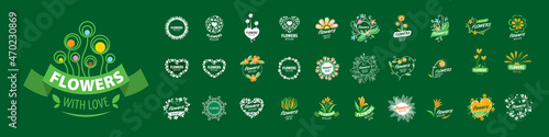 A set of vector logos Flowers on a green background