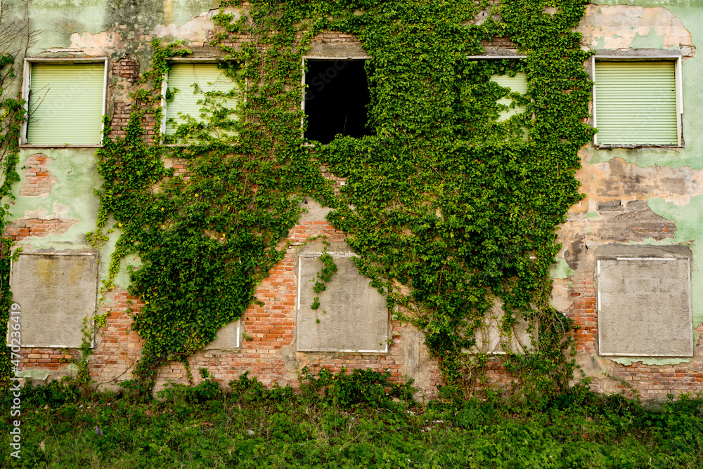 Sinister and haunted dilapidated house Sinister and haunted dilapidated house
