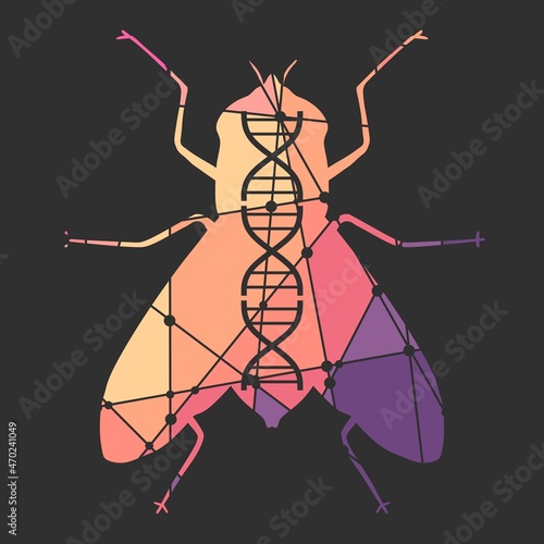 Silhouette of fly with abstract dna symbol