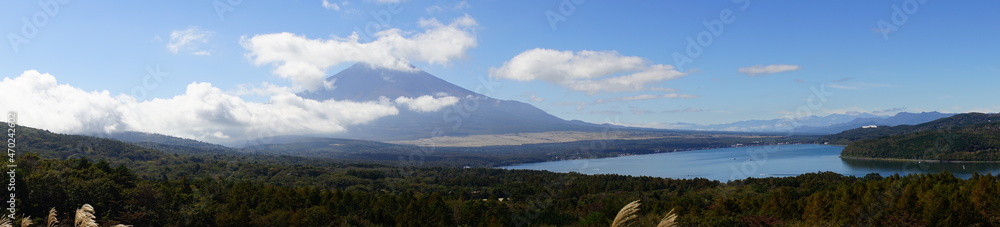 Autumn view with Japanese Pampas Grass or Susuk over Mt. Fuji in Yamanashi, Japan - 日本 山梨県 秋の景色 富士山 山中湖