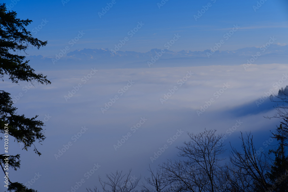 Panoramic landscape with silhouettes of trees and sea of fog seen from local mountain Uetliberg at Canton Zürich on a sunny autumn day. Photo taken November 12th, 2021, Zurich, Switzerland.