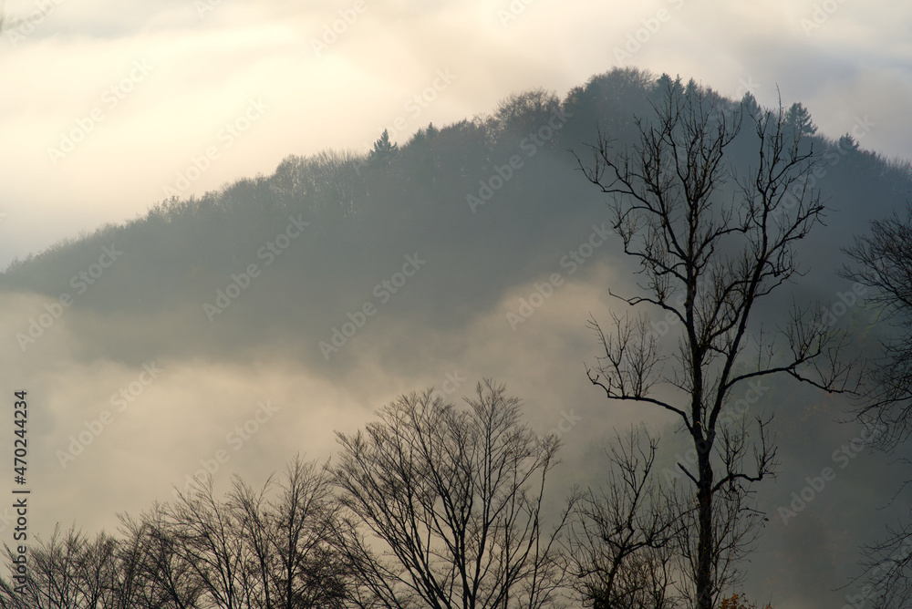 Scenic panorama landscape with waft of mist and freshly harvested field on a sunny autumn day. Photo taken November 12th, 2021, Zurich, Switzerland. Scenic panorama landscape with waft of mist and freshly harvested field on a sunny autumn day. Photo taken November 12th, 2021, Zurich, Switzerland.