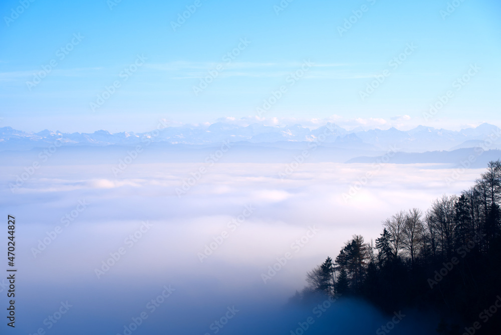 Fototapeta premium Panorama with silhouettes of trees and sea of fog seen from local mountain Uetliberg at Canton Zürich on a sunny autumn day. Photo taken November 12th, 2021, Zurich, Switzerland.