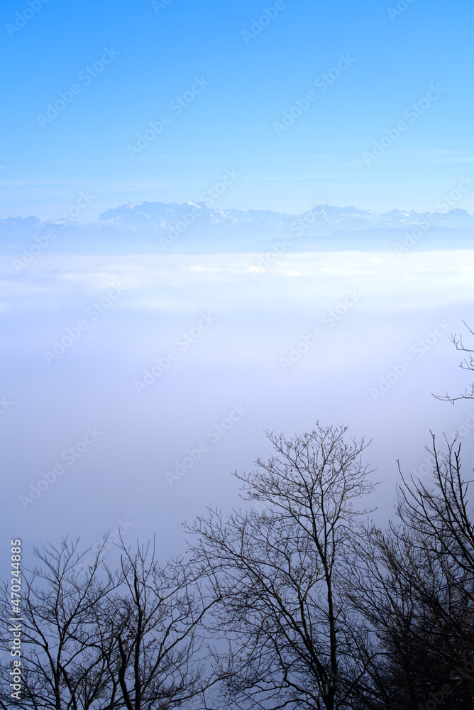 Panorama with silhouettes of trees and sea of fog seen from local mountain Uetliberg at Canton Zürich on a sunny autumn day. Photo taken November 12th, 2021, Zurich, Switzerland. Panorama with silhouettes of trees and sea of fog seen from local mountain Uetliberg at Canton Zürich on a sunny autumn day. Photo taken November 12th, 2021, Zurich, Switzerland.
