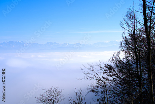 Panorama with silhouettes of trees and sea of fog seen from local mountain Uetliberg at Canton Zürich on a sunny autumn day. Photo taken November 12th, 2021, Zurich, Switzerland.