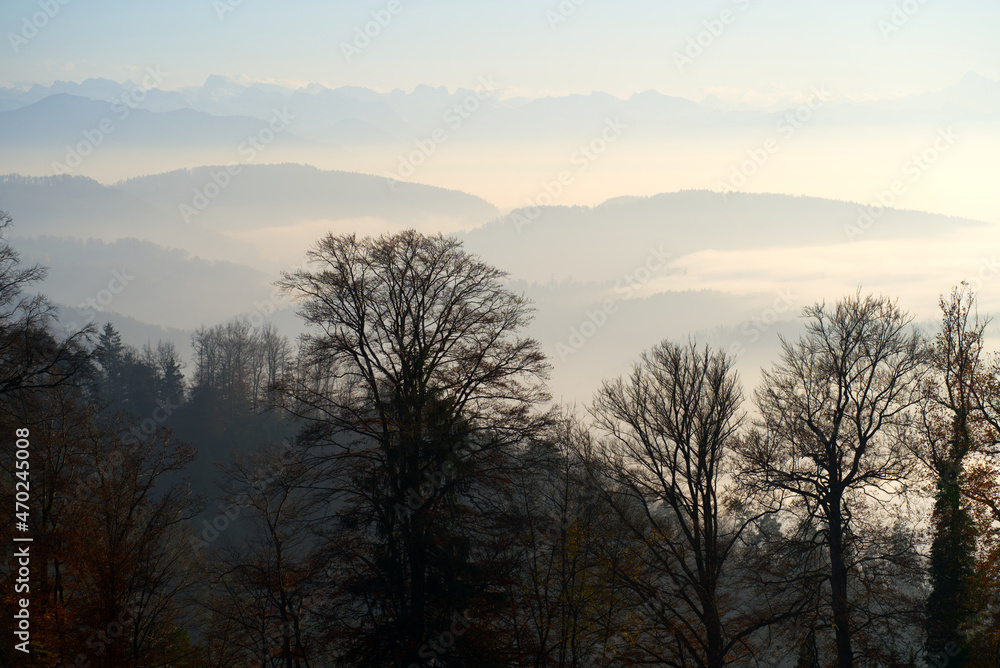 Fototapeta premium Scenic panoramic landscape with Swiss alps in the background and sea of fog on a sunny autumn day. Photo taken November 12th, 2021, Zurich, Switzerland.
