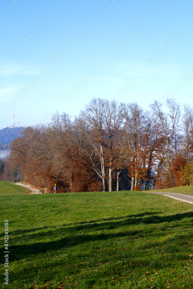 Scenic panoramic landscape with foggy background and meadow in the foreground on a sunny autumn day. Photo taken November 12th, 2021, Zurich, Switzerland. Scenic panoramic landscape with foggy background and meadow in the foreground on a sunny autumn day. Photo taken November 12th, 2021, Zurich, Switzerland.