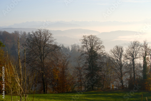 Scenic panoramic landscape with Swiss alps in the background and sea of fog on a sunny autumn day. Photo taken November 12th, 2021, Zurich, Switzerland.