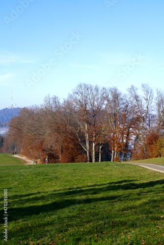 Scenic panoramic landscape with foggy background and meadow in the foreground on a sunny autumn day. Photo taken November 12th, 2021, Zurich, Switzerland.